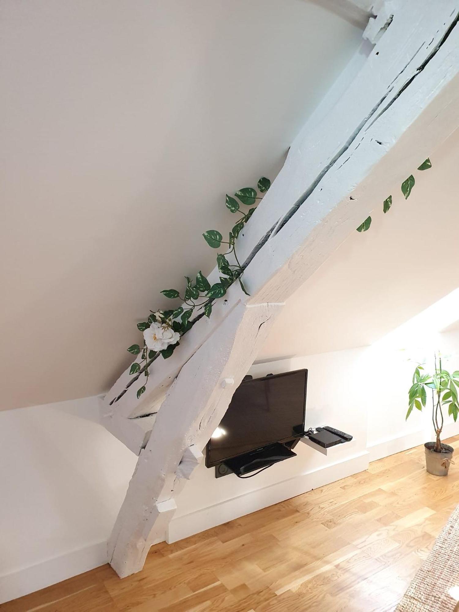 Quietude Au Bord De Loire. Apartment Orleans Exterior photo